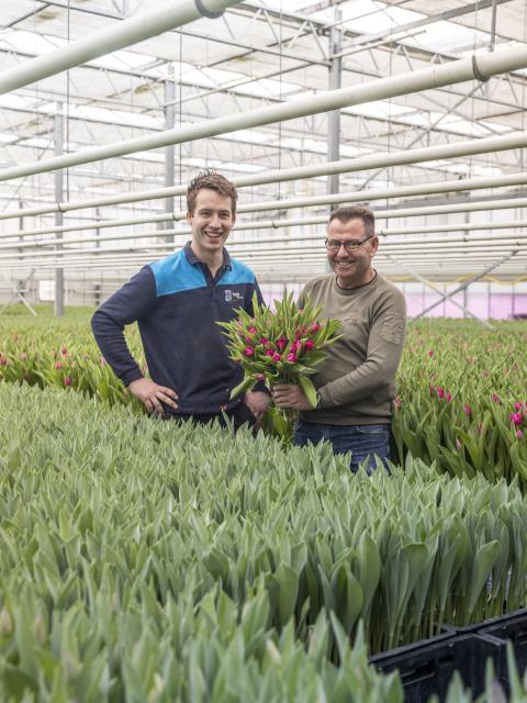 Arjan en Tim Smit | Tulpenkwekerij Smit Flowers