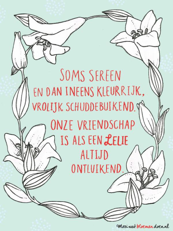 Bloemlezing de Lelie Bloemlezing de Lelie