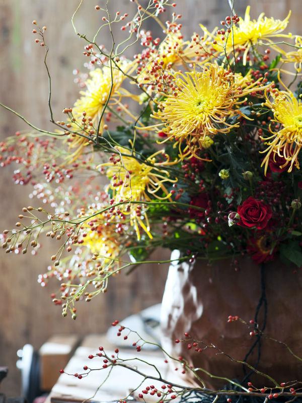 Chrysant Mooiwatbloemendoen.nl Chrysant Mooiwatbloemendoen.nl