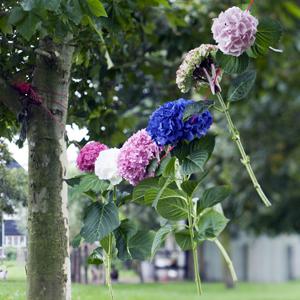 Hortensia's drogend aan de waslijn