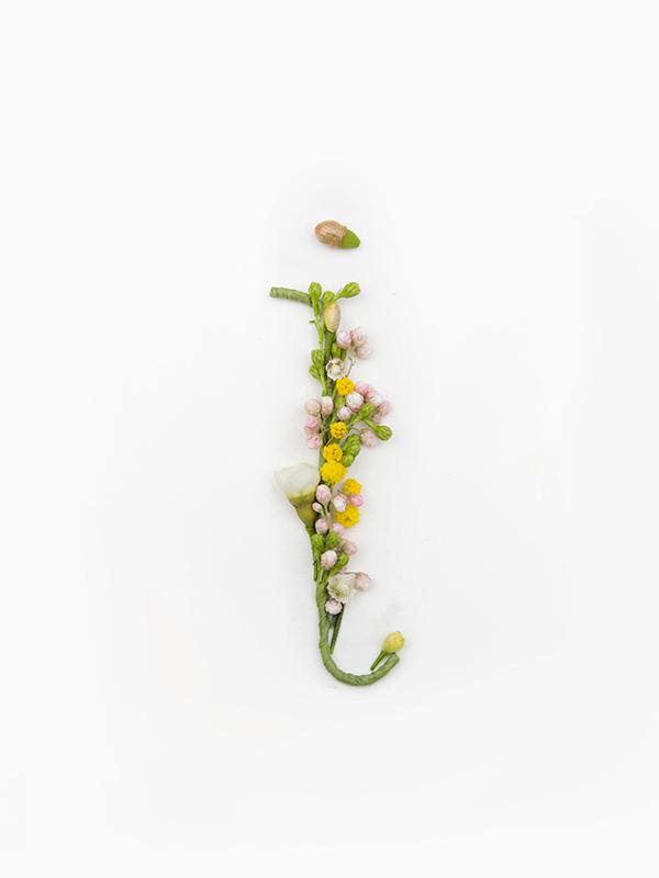 Blossom Type Blossom Type
