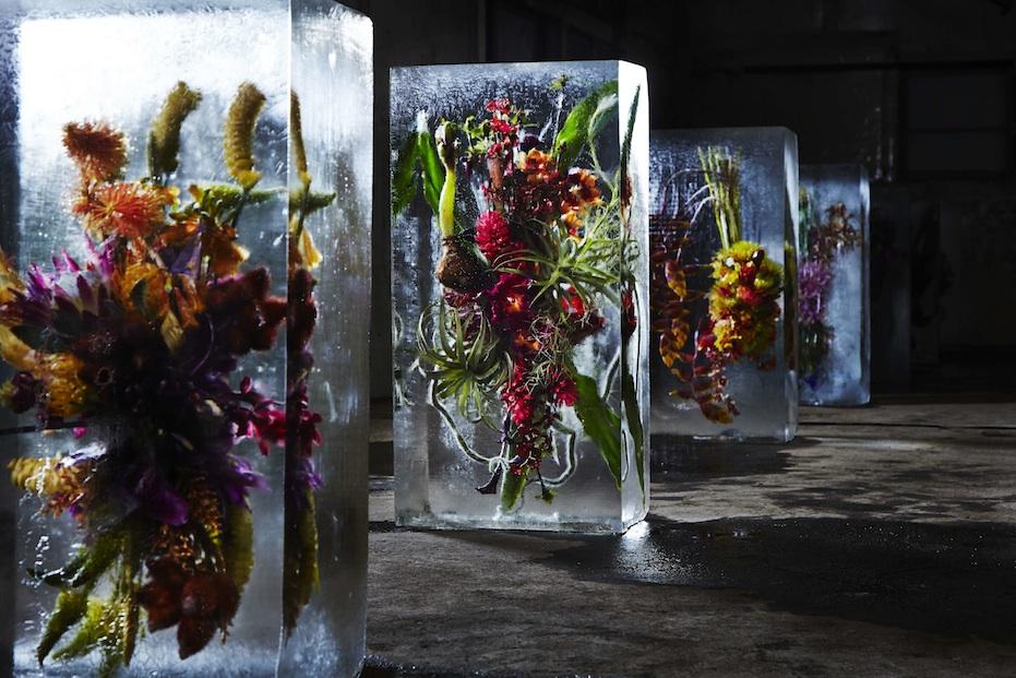 Iced Flowers Iced Flowers