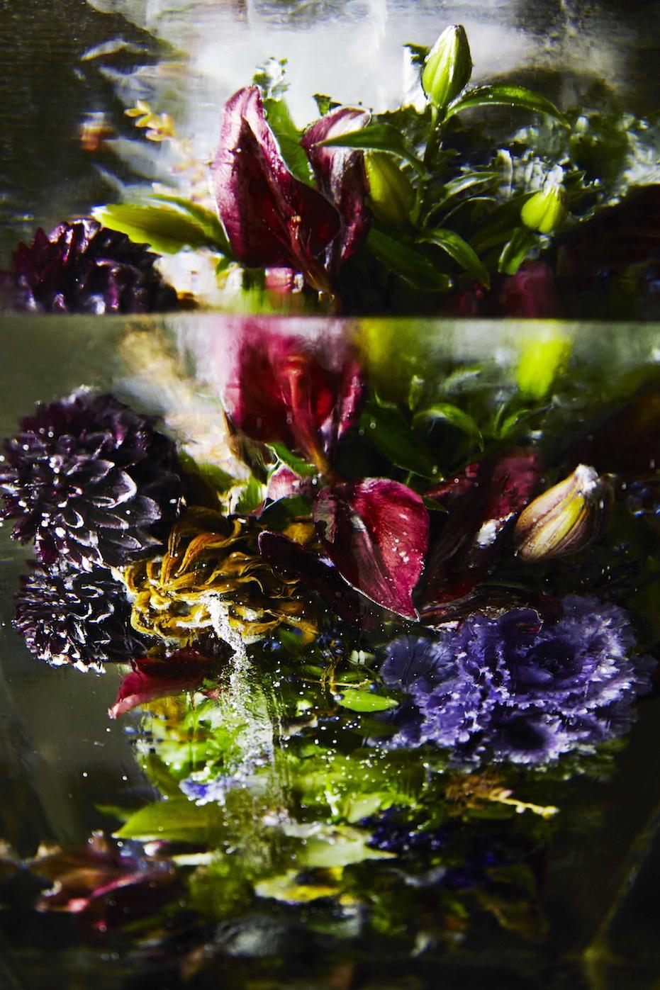 Iced Flowers Iced Flowers