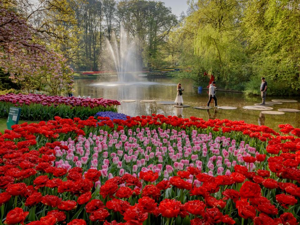 keukenhof | mooiwatbloemendoen