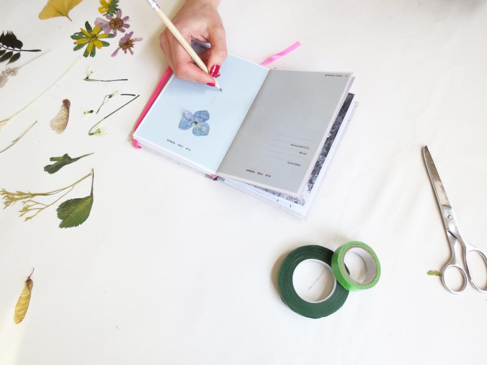 Pocket Herbarium Pocket Herbarium