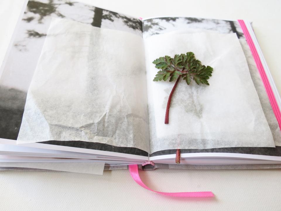 Pocket Herbarium