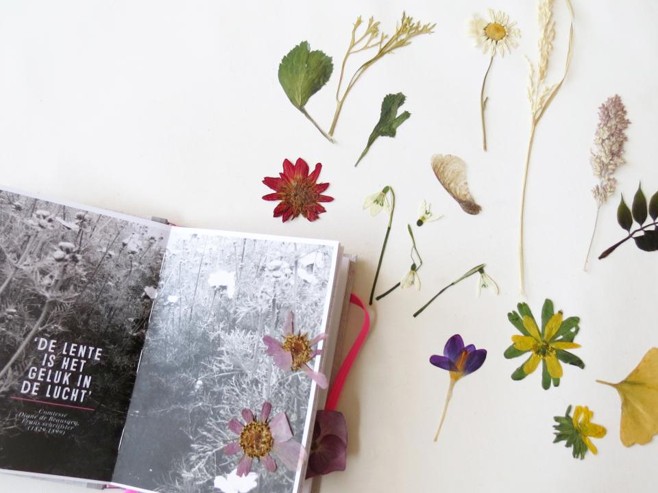 Pocket Herbarium