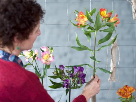 Maak een Alstroemeria gordijn, DIY! Mooiwatbloemendoen.nl