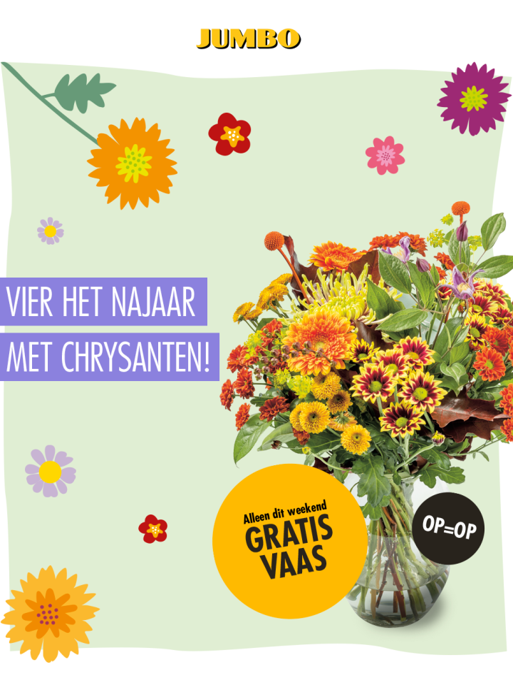 jumbo gratis vaas chrysantenboeket
