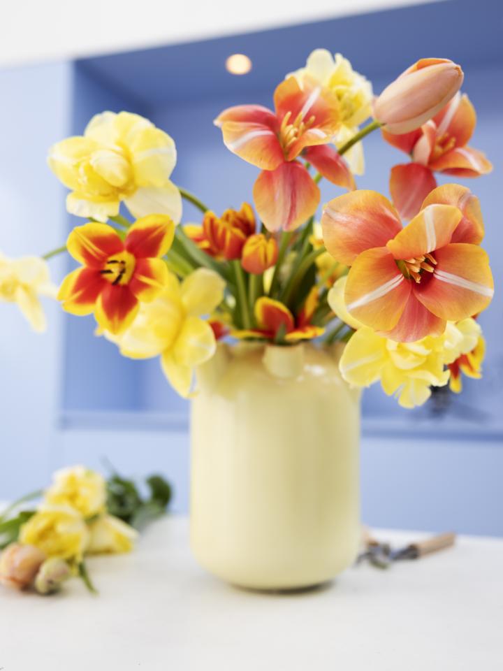 Volle tulpen | Tulpenvaas | Tulpen in vaas | Verzorging