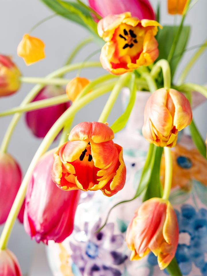 boeket tulpen | tulpenvaas | tips voor tulpen