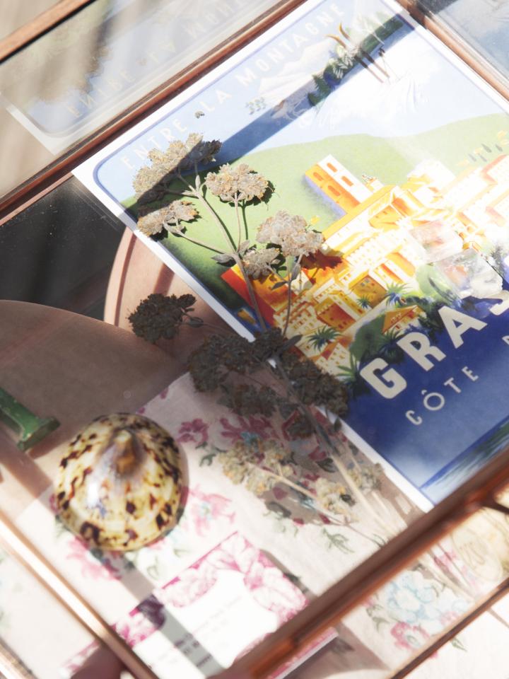 bloemen drogen tussen een boek | zelf bloemen drogen
