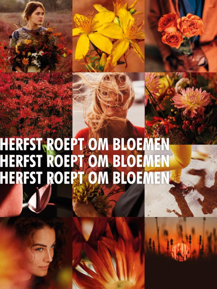 Herfst roept om bloemen | Mooiwatbloemendoen.nl