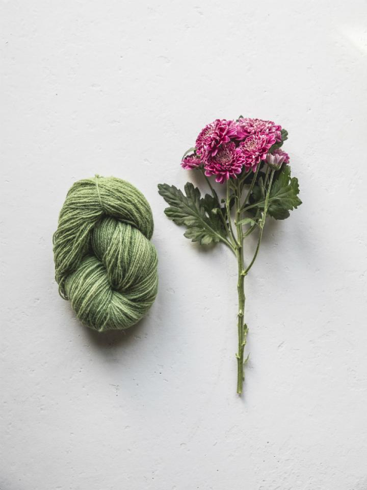 Onbepaald volgorde Uitpakken DIY: wol kleuren met chrysanten | Mooi wat bloemen doen