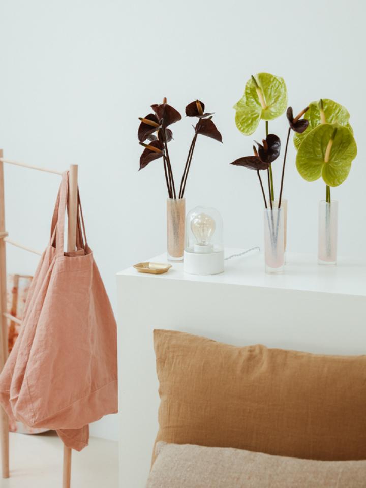 Vul je huis met hartvormige Anthuriums | Mooiwatbloemendoen.nl
