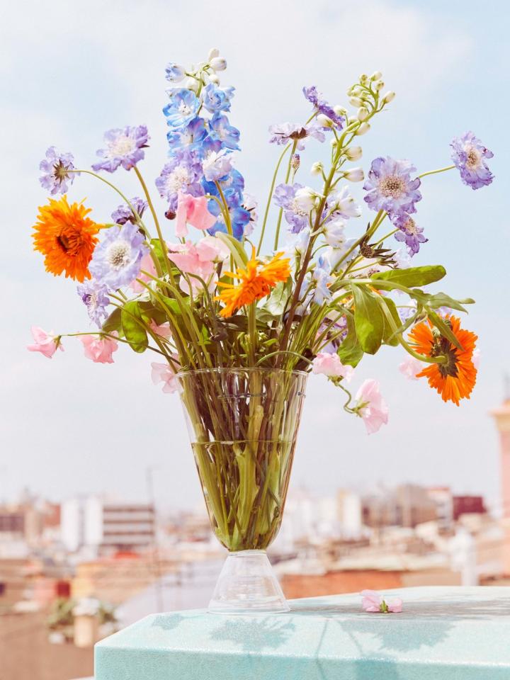 Zomer ademt bloemen Mooiwatbloemendoen.nl