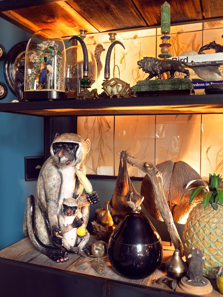 The Wunderkammer The Wunderkammer