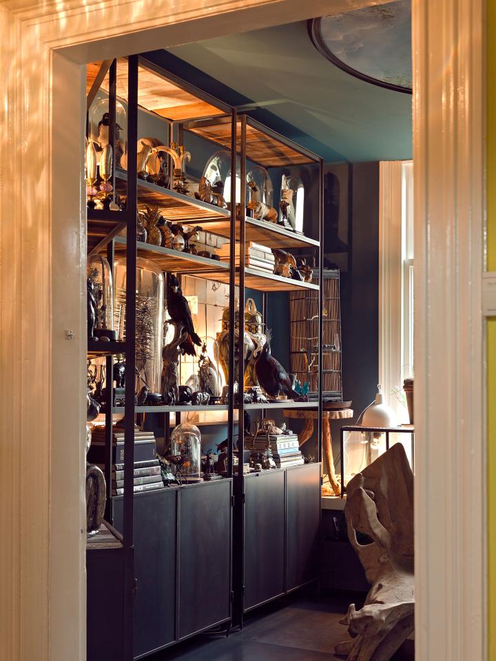 The Wunderkammer The Wunderkammer
