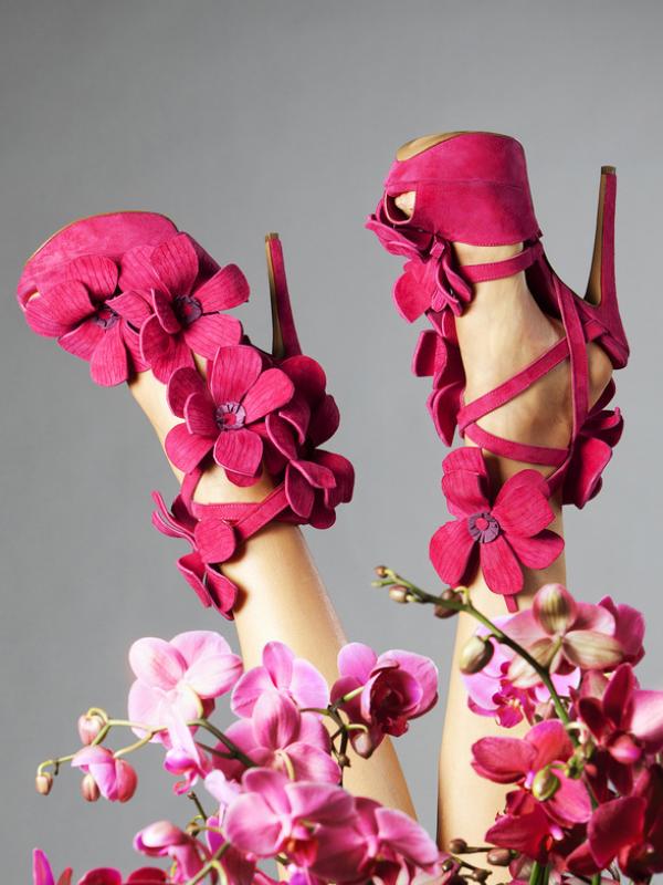Orchid shoe Jan Jansen Orchid shoe Jan Jansen Mooiwatbloemendoen.nl
