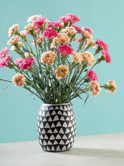 Valentijnsdag Vijf flirty flowers Mooiwatbloemendoen.nl Valentijnsdag Vijf flirty flowers Mooiwatbloemendoen.nl