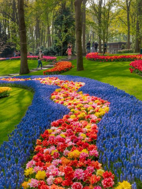 keukenhof bloemengolf | mooiwatbloemendoen